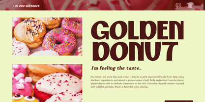 Quadline Font Poster 13