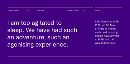 Yankton Font Poster 9