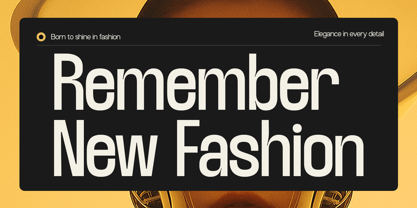 TRT Lancelot Font Poster 6