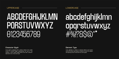 TRT Lancelot Font Poster 2