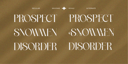 Brivonne Royale Font Poster 4