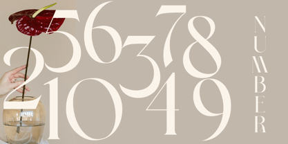 Brivonne Royale Font Poster 10