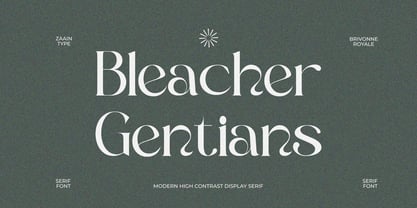 Brivonne Royale Font Poster 6