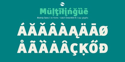 Biotrip Sans Font Poster 9