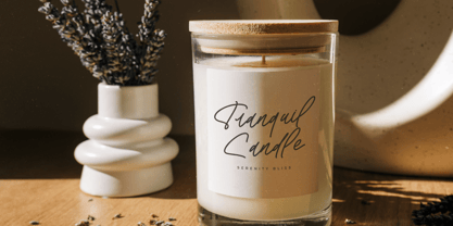 Travelast Wander Font Poster 5