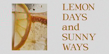 Rosaline La Couture Duo Font Poster 13