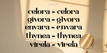 Vigrit Font Poster 11