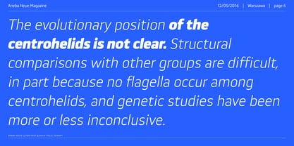 Aneba Neue Font Poster 6