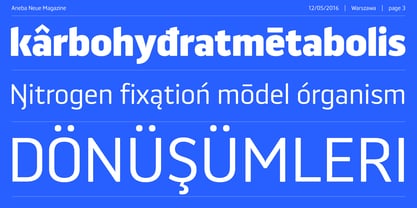 Aneba Neue Font Poster 3