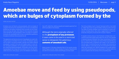 Aneba Neue Font Poster 5