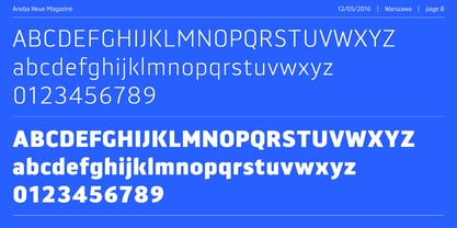 Aneba Neue Font Poster 8