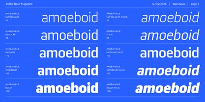 Aneba Neue Font Poster 4