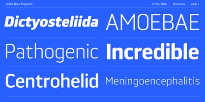 Aneba Neue Font Poster 7