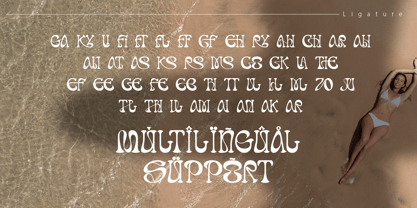 Dream Theatrion Font Poster 12