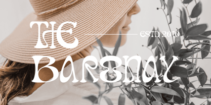 Dream Theatrion Font Poster 7