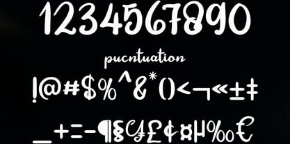 Festylia Font Poster 5