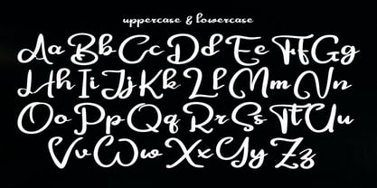 Festylia Font Poster 2