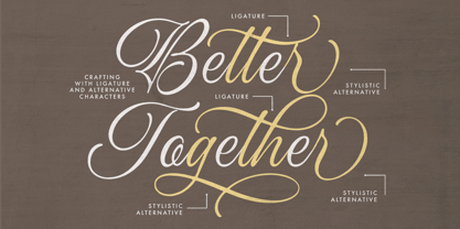 Ocean Delight Font Poster 12