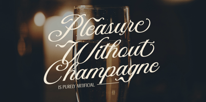 DT Maroon Champagne Font Poster 15