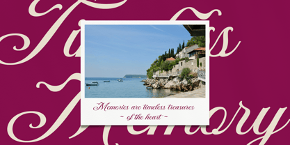 DT Maroon Champagne Font Poster 5