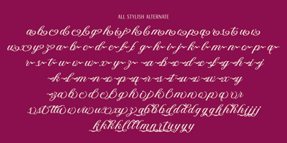 DT Maroon Champagne Font Poster 13