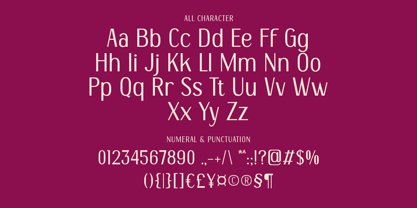 DT Maroon Champagne Font Poster 14