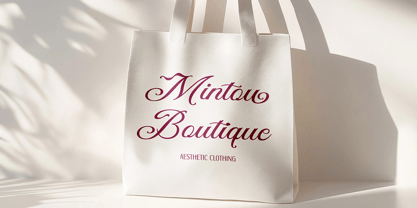 DT Maroon Champagne Font Poster 11