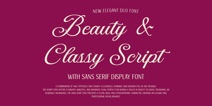 DT Maroon Champagne Font Poster 8