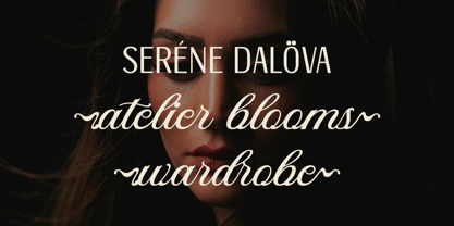 DT Maroon Champagne Font Poster 9