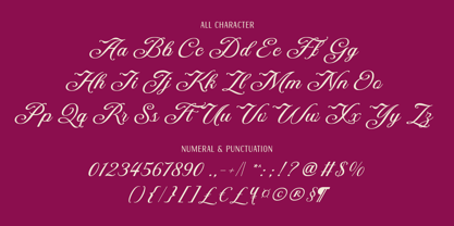 DT Maroon Champagne Font Poster 12