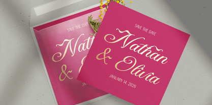 DT Maroon Champagne Font Poster 7