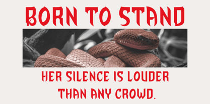 Esternal Font Poster 11