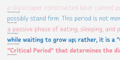 Pathomwai Font Poster 6