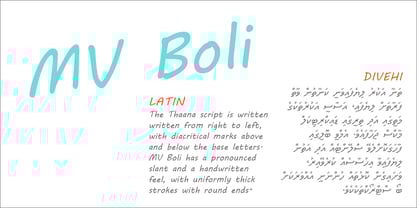 MV Boli Font Poster 4