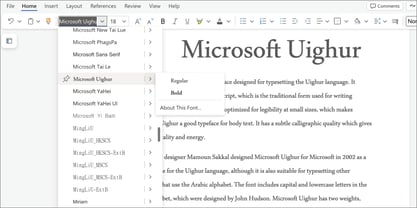 Microsoft Uighur Font Poster 5