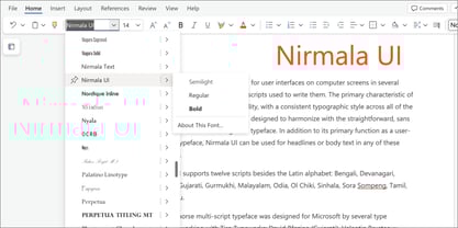 Nirmala UI Font Poster 5