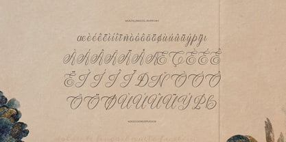 Kaletero Font Poster 11