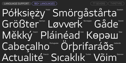 TT Severs Font Poster 7