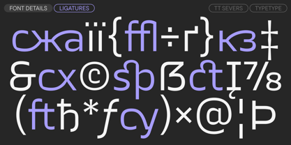 TT Severs Font Poster 15