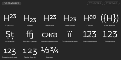 TT Severs Font Poster 12