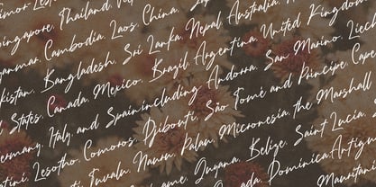 Awangpone Font Poster 14