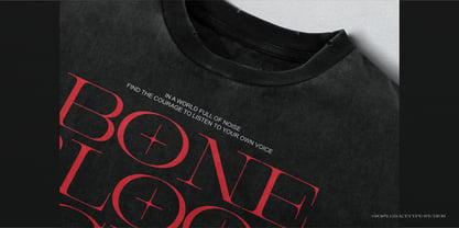 Prostetrix Font Poster 8