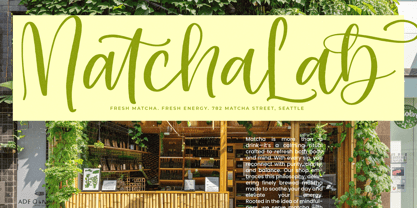 Shelter Natural Font Poster 4