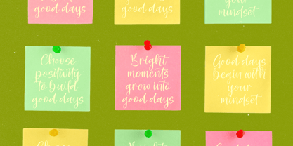 Shelter Natural Font Poster 10