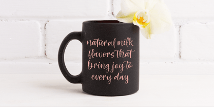 Shelter Natural Font Poster 2