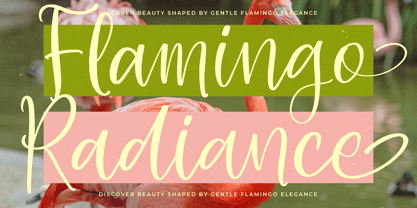 Shelter Natural Font Poster 12