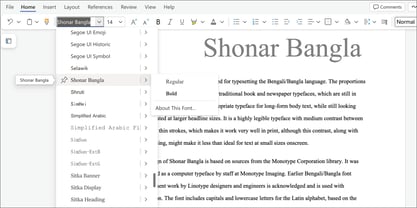 Shonar Bangla Font Poster 5