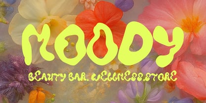 Soft Riot Font Poster 4