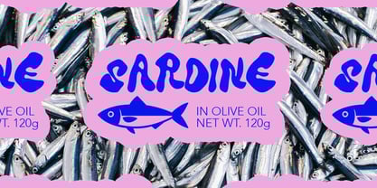 Soft Riot Font Poster 13