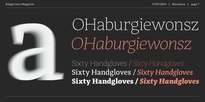 Adagio Serif Font Poster 7